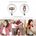 10.2" Dimmable LED Ring Light Selfie Video Ring Light with 1.1m Tripod Stand Phone Clip PKT3069B