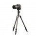 T1C40T Carbon Fiber Tripod 4-Section Folding Tripod Camera Tripod Stand For Nikon D600