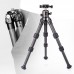 T1C30N Carbon Fiber Tripod Desktop Mini Tripod + XB-28 II Ball Head Load 4.5KG For Mini SLR Camera