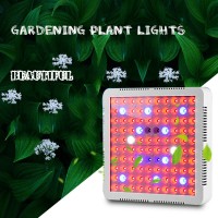 300W Full Spectrum LED Plant Grow Light Lamp Timed Indoor LED Grow Light APL-100RBWUI-C300W