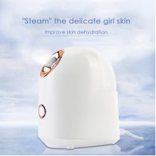 DK-022 Household Portable Face Steamer Nano Facial Steamer Mini Desktop Moisturizing Sprayer White