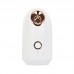DK-022 Household Portable Face Steamer Nano Facial Steamer Mini Desktop Moisturizing Sprayer White