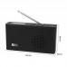 WR-26 Portable WiFi Internet Radio Bluetooth Speaker Radio FM/ DAB/DAB+/WiFi/UPnP/DLNA (Black)