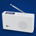 WR-26 Portable WiFi Internet Radio Bluetooth Speaker Radio FM/ DAB/DAB+/WiFi/UPnP/DLNA (White)