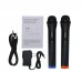 lv-88 Wireless Microphone System Dual Channel Two Handheld Cordless Mic For Karaoke KTV Music Show