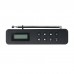 WR-26 Portable WiFi Internet Radio Bluetooth Speaker Radio FM/ DAB/DAB+/WiFi/UPnP/DLNA (Black)