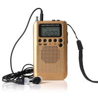 HRD-104 Portable AM FM Radio Mini Radio Two Band Digital Clock Radio Timing With Loudspeaker Golden