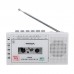 PANDA 6503 FM Radio Two Band Radio Cassette Recorder Tape Transfer Support USB TF Card MP3 Music