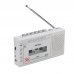 PANDA 6503 FM Radio Two Band Radio Cassette Recorder Tape Transfer Support USB TF Card MP3 Music