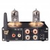 PJ.MIAOLAI T10 Bluetooth 5.0 Tube Amp Hifi Headphone Amplifier 2x50W Digital Power Amp For U Disk