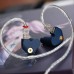 SSP In Ear Headphones IEM Earphones HIFI IEM Headphones Super Spaceship Pulse Dynamic Driver Earbuds