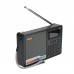 GTMEDIA D1 Portable Digital Radio DAB+ FM RDS Multi Band w/ LCD Display Alarm Clock Support TF Card  