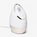 Vanity Planet Hot Mist Facial Steamer Face Steamer Home Moisturizing Beauty Equipment Ion Sprayer