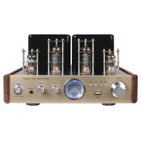 AV-2030 Champagne Gold Vacuum Tube Power Amplifier 30Wx2 Headphone Amplifier DAC Fits Home Speakers