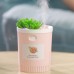 Dr-01 Succulents Humidifier 350ML Mini Air Humidifier Diffuser Night Light Simulation Potted Plant