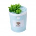 Dr-01 Succulents Humidifier 350ML Mini Air Humidifier Diffuser Night Light Simulation Potted Plant