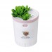 Dr-01 Succulents Humidifier 350ML Mini Air Humidifier Diffuser Night Light Simulation Potted Plant