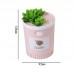 Dr-01 Succulents Humidifier 350ML Mini Air Humidifier Diffuser Night Light Simulation Potted Plant