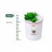 Dr-01 Succulents Humidifier 350ML Mini Air Humidifier Diffuser Night Light Simulation Potted Plant