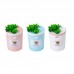 Dr-01 Succulents Humidifier 350ML Mini Air Humidifier Diffuser Night Light Simulation Potted Plant