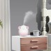 L-103 Cute Elephant Aroma Diffuser Humidifier 250ML Air Humidifier Rechargeable With Night Light