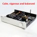 PAIYON A201 Hi-Fi Integrated Amplifier ES9028Q2M HIFI Bluetooth 5.0 Coaxial Optical Input Amp With Remote Control
