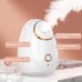 BFS-01 Hot Mist Facial Steamer Household Beauty Face Steamer Portable Facial Humidifying Spray