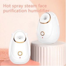 BFS-01 Hot Mist Facial Steamer Household Beauty Face Steamer Portable Facial Humidifying Spray