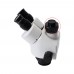 1X Lens Adapter 38MM C Mount Adapter Trinocular Microscope Camera Adapter For Digital Camera Focus