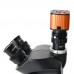 7X-100X Trinocular Stereo Microscope Kit w/ 24MP Microscope Camera For Soldering PCB Jewelry Repair