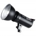 Godox DS300II/220V Studio Flash Light Photo Strobe Light For Wedding Portrait Product Photography