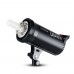 Godox DS300II/220V Studio Flash Light Photo Strobe Light For Wedding Portrait Product Photography