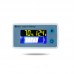 EV Battery Indicator Battery Capacity Voltage Battery Gauge 10V-100V Color Screen Low-Voltage Alarm