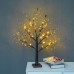 55CM/21.7" Light Tree Room Lighted Christmas Tree 24-LED Holiday Party Wedding Creative Decoration