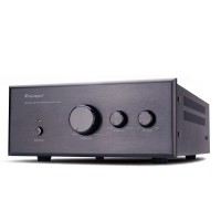 WS-01 220V 500W Passive Subwoofer Power Amplifier Special Hifi Power Amp For Home 5.1/2.1 System