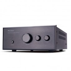 WS-01 220V 500W Passive Subwoofer Power Amplifier Special Hifi Power Amp For Home 5.1/2.1 System