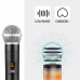 FUGUE FUP-202 Wireless Microphone System Professional Cordless Microphone for KTV Karaoke Stage Show