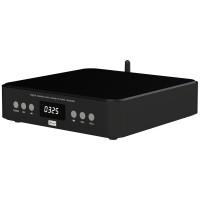 P-AMP65 Standard Edition 2x50W Digital Lossless Music Player Power Amp Hifi Bluetooth Player Black