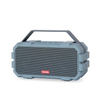 Tecsun B50 Portable Bluetooth Speaker Hifi Player Dual-Speaker Design Power Bank Standard Edition
