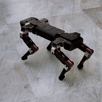 ROS Open Source AI Robot Dog Bionic Quadruped Robot Basic Version Supporting RC Controller