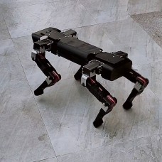 ROS Open Source AI Robot Dog Bionic Quadruped Robot Advanced Visual Version w/ Camera and Phone APP