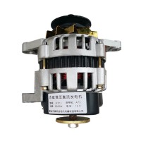 14V Dual-Shaft Permanent Magnet Brushless DC Generator for Single-Cylinder Diesel Engine Agricultural Tractors