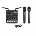 RK-211 Mixer Sound Card Micro 4-Channel Mixing Console with Wireless Microphones for Conference Show