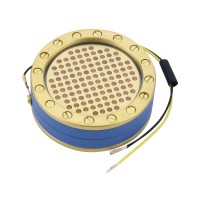 RK-12 Gold-plated Large Diaphragm Condenser HiFi Mic Capsule Cartridge Core Microphone Capsule for Studio Recording