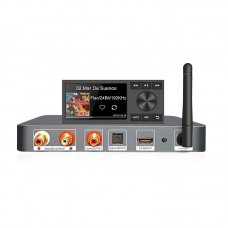 A10 Multimedia Player DSP DSD512 Car Media Player High Performance Asynchronous Sample Rate Converter