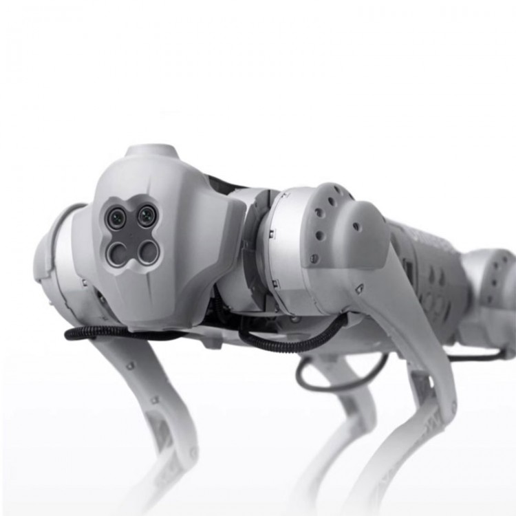 Go1 Pro Bionic Quadruped Robot Dog Sss Super Sensing 10 View Detection Go1 Pro Bionic Quadruped Robot Dog Sss Super Sensing 10 View Detection
