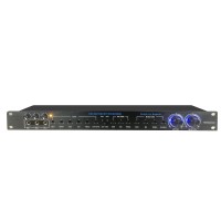 Professional DSP Stage Audio Processor High Performance Preamplifier Effector Dual Digital Reverberation