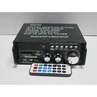 AV-253C 300W + 300W Power Amp USB SD FM Stereo Audio Power Amplifier (Black) for DC 12V & AC 220V