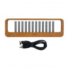 D'ESIGN 12BITS RGB Music Spectrum Display Pseudo Glow Tube Rhythm Light Punk Gift with Beech Shell