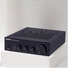 BRZHIFI B30 Mono 480W High Power Full Frequency Subwoofer TPA3255 HiFi Digital Power Amplifier